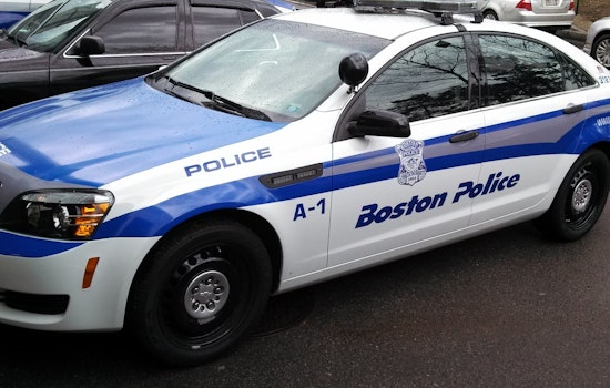 Boston Police Net Nine in "Operation Retail Theft" Sting Across Mattapan and Back Bay