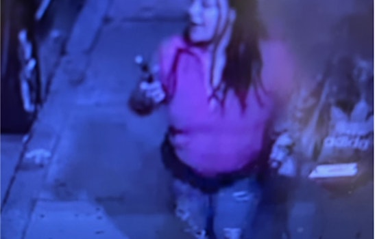 Boston Police Seek Help to Identify Suspect in Roxbury Aggravated Assault