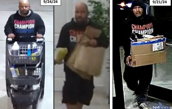 Boston Police Seek Help to Identify Suspect in Roxbury Package Thefts