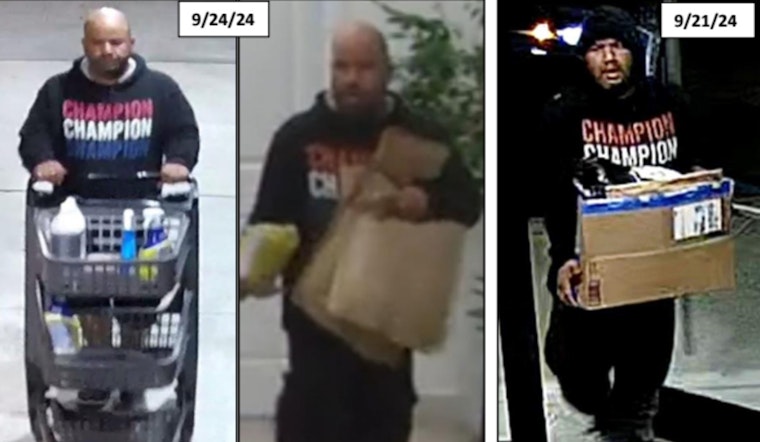 Boston Police Seek Help to Identify Suspect in Roxbury Package Thefts
