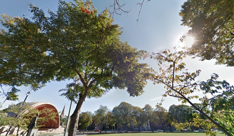 Boston to Savor Summerlike Sunshine as Temperatures Surge into the 80s