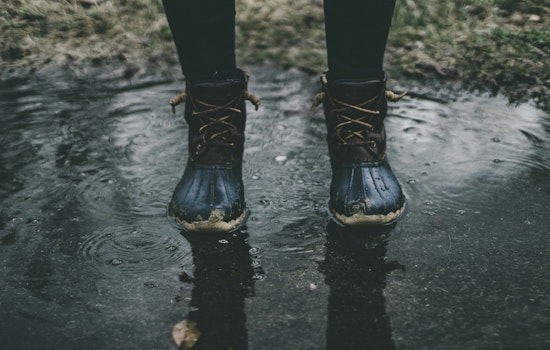 Bostonians Brace for Wet Weekend with Showers and High Winds Forecasted