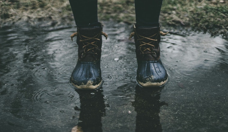 Bostonians Brace for Wet Weekend with Showers and High Winds Forecasted