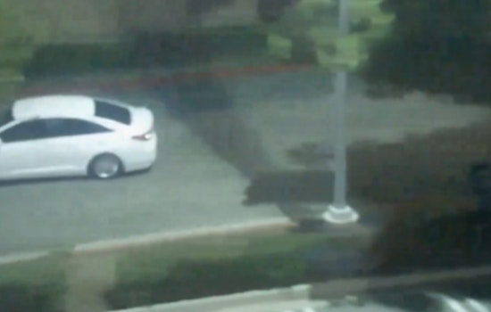 Botched Theft at Upland Shopping Center, Accomplice Flees, Leaving Suspect to Face Police Alone