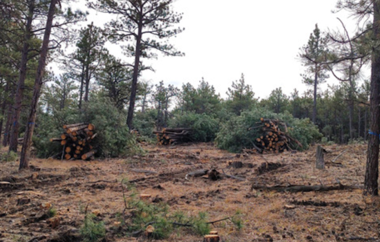 Boulder County Invites Applications for Wildfire Mitigation Grants, Prioritizing Large-Scale Conservation Efforts