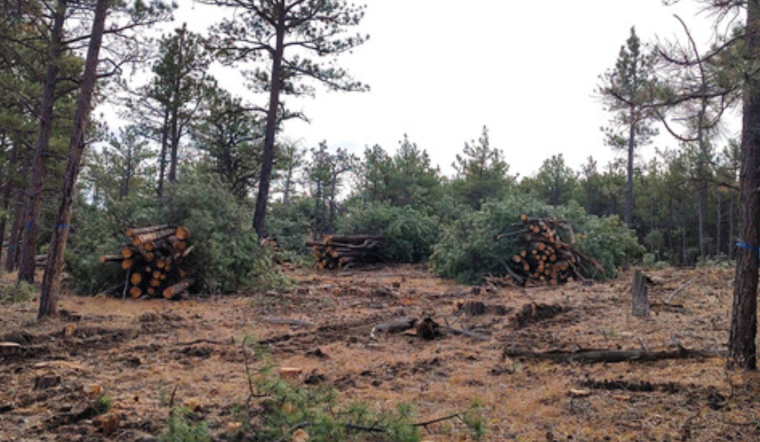 Boulder County Invites Applications for Wildfire Mitigation Grants, Prioritizing Large-Scale Conservation Efforts