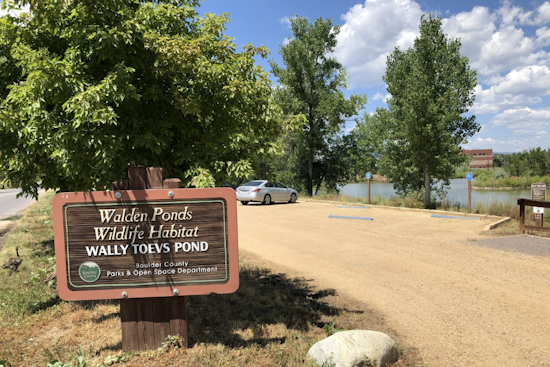 Boulder County to Host Annual Junior and Senior Fishing Derby at Walden Ponds Wildlife Habitat