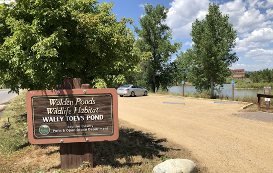 Boulder County to Host Annual Junior and Senior Fishing Derby at Walden Ponds Wildlife Habitat