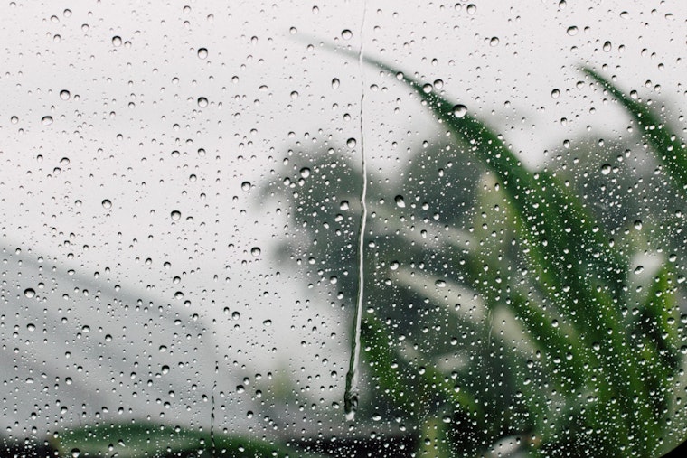 Breezy Days Ahead for Northern California with Gusty Winds and Chance of Showers, NWS Forecasts