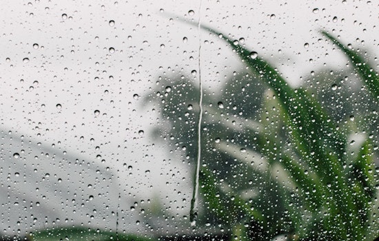 Breezy Days Ahead for Northern California with Gusty Winds and Chance of Showers, NWS Forecasts