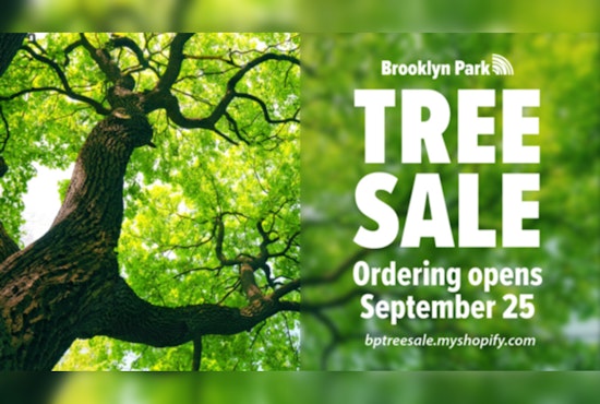 Brooklyn Park & Tree Trust Offer $40 Trees to Residents to Boost Green Canopy