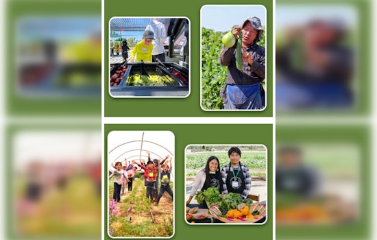 California Boosts Child Nutrition with $52.8 Million Farm to School Program, Serving Over 1.65 Million Students