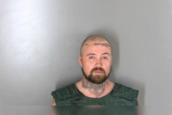 Canadian Man Charged with Arson and Animal Killing After Michigan House Fire