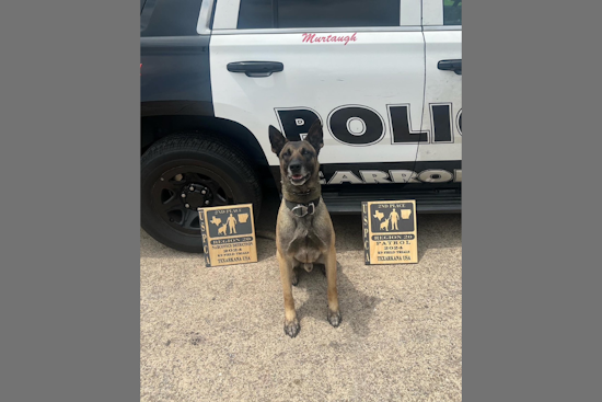 Carrollton, Texas, Police Celebrate Murtaugh and Riggs on National Police K9 Day