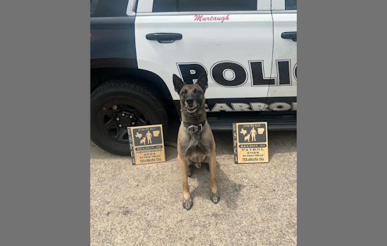 Carrollton, Texas, Police Celebrate Murtaugh and Riggs on National Police K9 Day