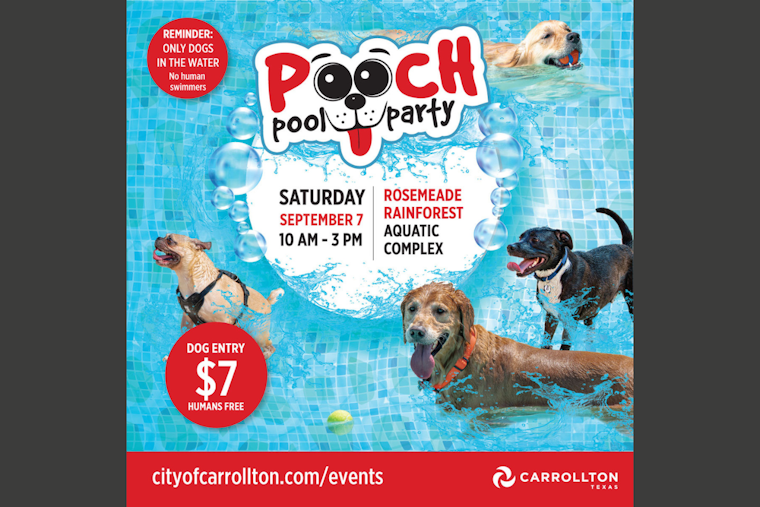 Carrollton's Annual Pooch Pool Party Set to Make a Splash on September 7