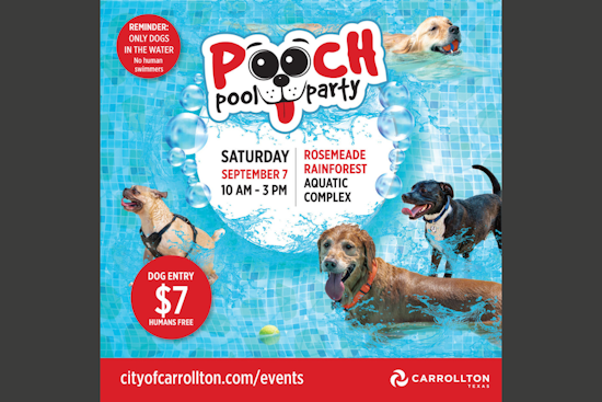 Carrollton's Annual Pooch Pool Party Set to Make a Splash on September 7