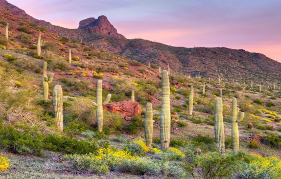 Central Arizona to Host Virtual Workforce Forum Aimed at Regional Collaboration and Development