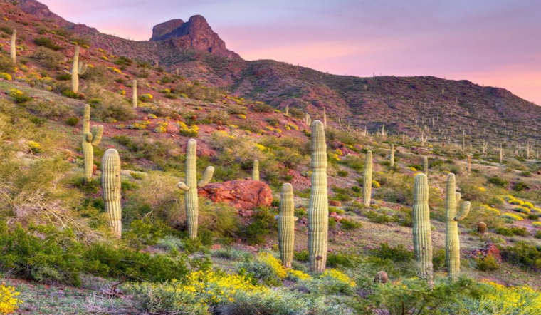 Central Arizona to Host Virtual Workforce Forum Aimed at Regional Collaboration and Development