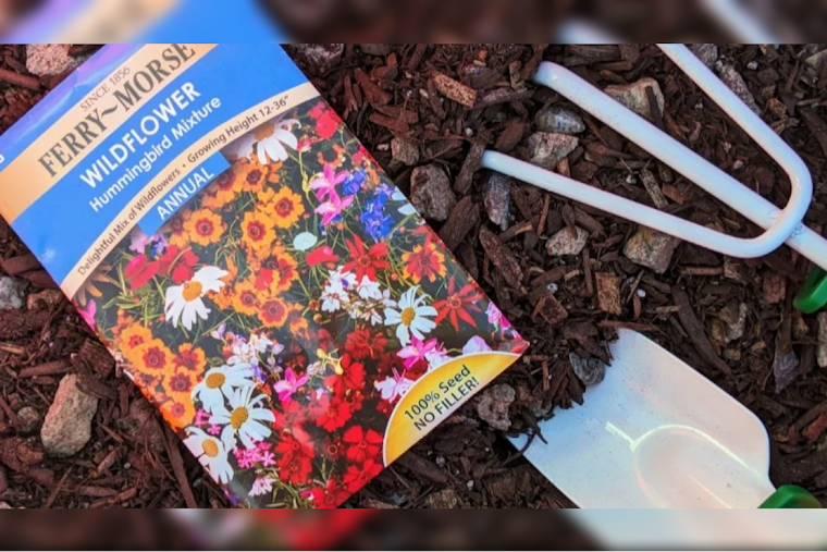 Chandler's Golden Neighbors Program Welcomes Seniors for Fall Activities with Free Gardening Workshop