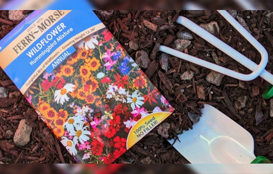 Chandler's Golden Neighbors Program Welcomes Seniors for Fall Activities with Free Gardening Workshop