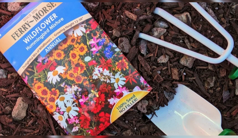 Chandler's Golden Neighbors Program Welcomes Seniors for Fall Activities with Free Gardening Workshop