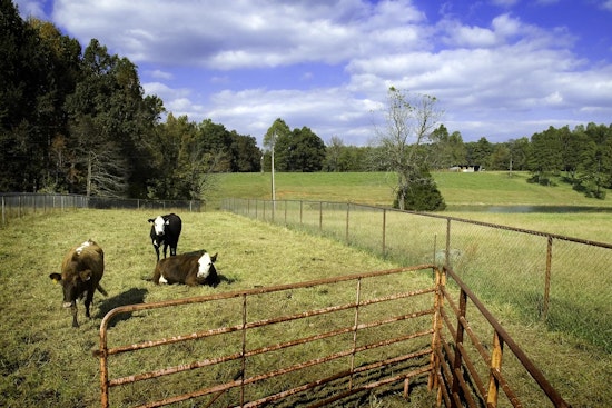 Chatham County Farmland Preservation Program Secures Over $300K in Grants from North Carolina Agriculture Department