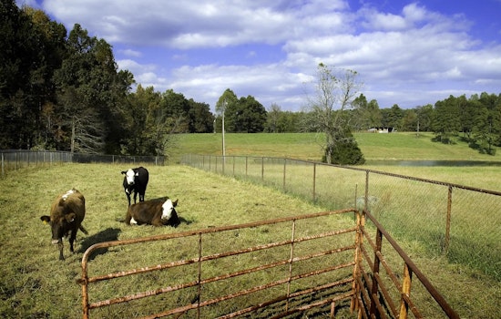 Chatham County Farmland Preservation Program Secures Over $300K in Grants from North Carolina Agriculture Department