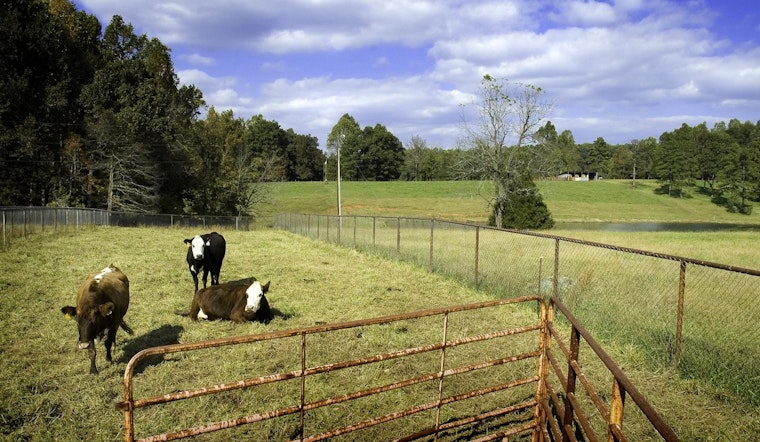 Chatham County Farmland Preservation Program Secures Over $300K in Grants from North Carolina Agriculture Department