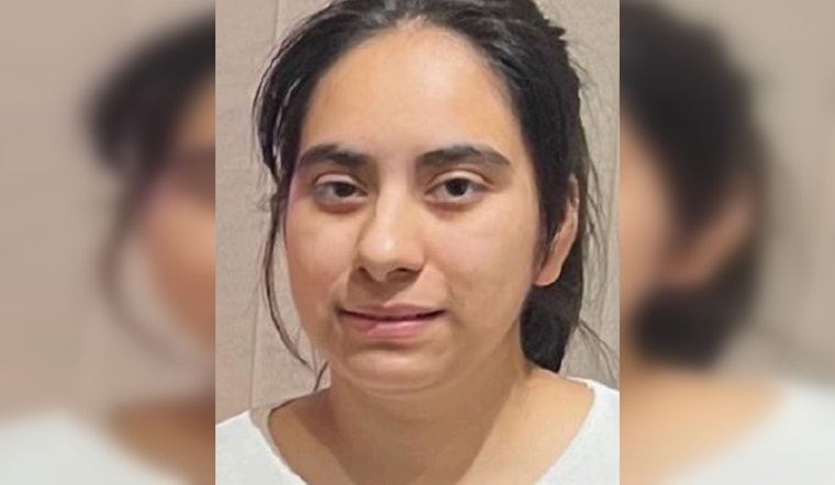 Chicago Police Seek Help Finding Missing 22-Year-Old Angelica Gamino Last Seen on S. Rockwell