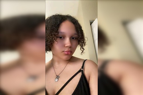 Chicago Police Seek Public Help in Locating Missing 15-Year-Old Trinity Bryant; May Need Medical Attention