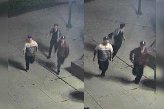 Chicago Police Seek Public's Aid to Identify Suspects in Michigan Avenue Stabbing Incident
