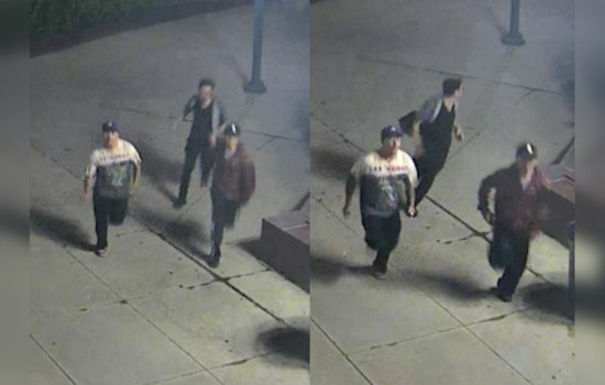 Chicago Police Seek Public's Aid to Identify Suspects in Michigan Avenue Stabbing Incident