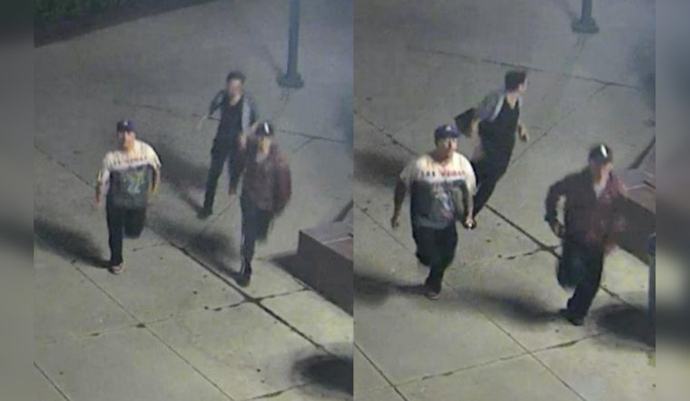 Chicago Police Seek Public's Aid to Identify Suspects in Michigan Avenue Stabbing Incident