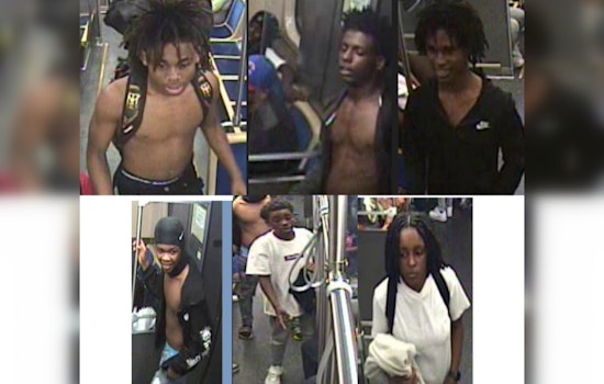 Chicago Police Seek Public's Help in Identifying Suspects of Green Line Armed Robbery at 47th Street Station