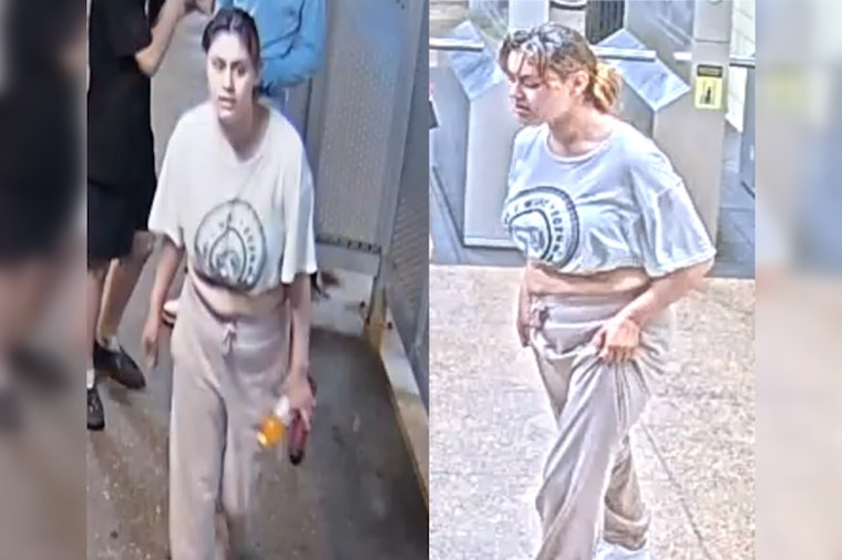 Chicago Police Seek Public’s Help to Identify Suspect in CTA Blue Line Robbery at Pulaski Station
