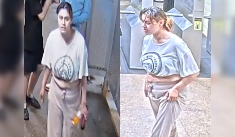 Chicago Police Seek Public’s Help to Identify Suspect in CTA Blue Line Robbery at Pulaski Station