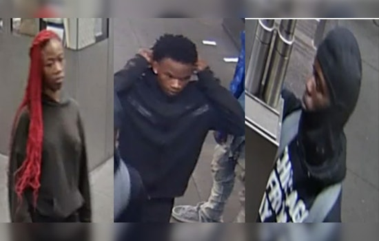 Chicago Police Seek Public's Help to Identify Suspects in Red Line Station Robbery at 47th Street