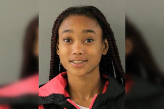 Chicago Woman Charged with Aggravated Battery and Armed Robbery in Shooting Incident