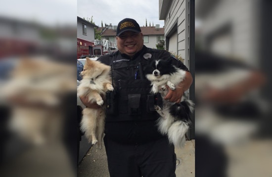 Citrus Heights Community Mourns the Loss of Esteemed Animal Services Officer Ruben Hernandez