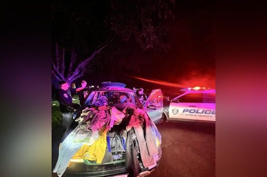 Citrus Heights Gang Member Arrested for Commercial Burglary and Felony Evasion After Police Chase