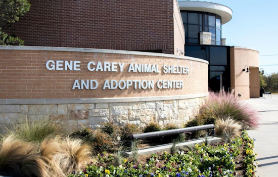 City of Lewisville Offers Affordable Pet Vaccines in Collaboration with TCAP on October 5th