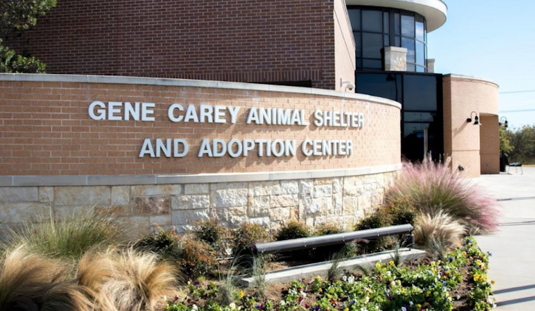 City of Lewisville Offers Affordable Pet Vaccines in Collaboration with TCAP on October 5th