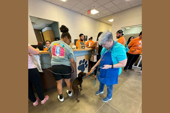 Clear the Shelters Initiative Triumphs in Mesquite with Record Pet Adoptions