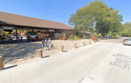 Cleveland Metroparks Zoo's Trick-Or-Treat Fest Returns for Spooky Fun Starting October 4