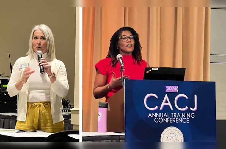 Cobb County's Accountability Court Leaders Share Insights at State Judicial Conference