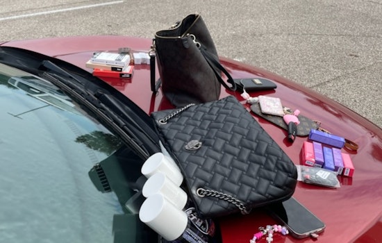 Collierville and Germantown Hit by Serial Shoplifters, Two Suspects Apprehended Thanks to Police and Store Security Collaboration
