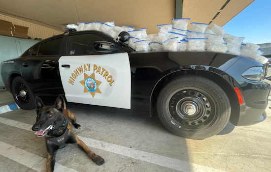 Concord Man Arrested with Nearly 100 Pounds of Suspected Meth on I-680 Following CHP K9 Detection