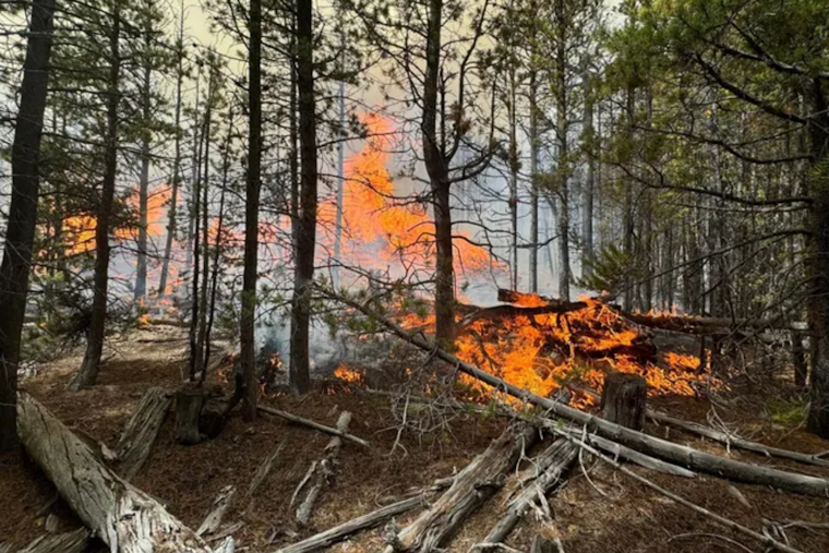 Containment Progresses on Pearl Fire Near Red Feather Lakes, Colorado as Aerial Support Joins Fight