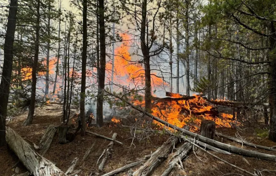 Containment Progresses on Pearl Fire Near Red Feather Lakes, Colorado as Aerial Support Joins Fight